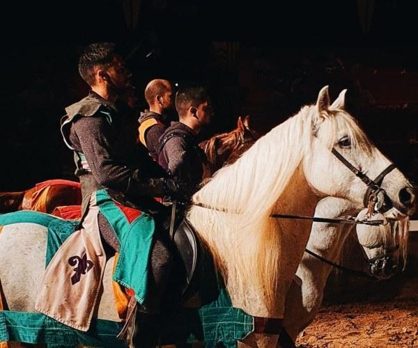 Dinner-Show 'Medieval Challenge' (Normal Entry) Medieval Challenge Dinner-Show Alfaz del Pi Dinner-Show 'Medieval Challenge' (Normal Entry) Medieval Challenge Dinner-Show Alfaz del Pi