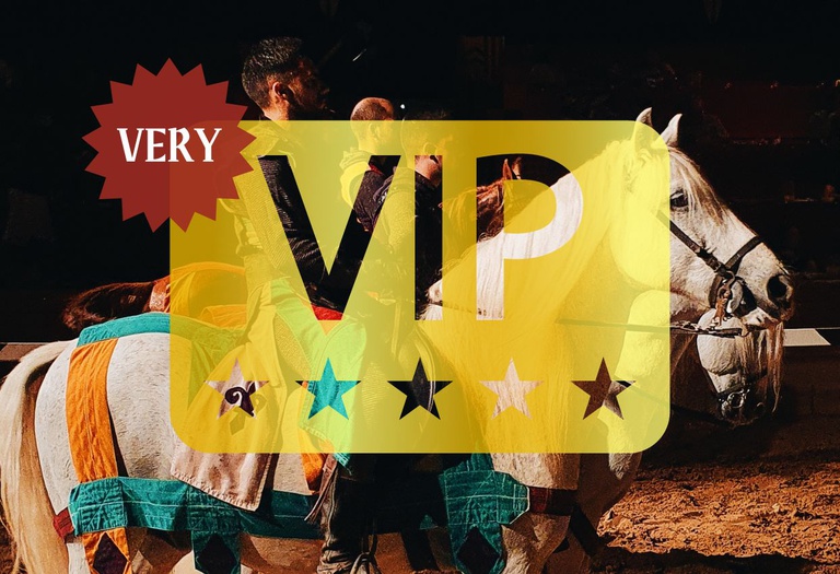 Dinner show 'medieval challenge' (very vip ticket) Medieval Challenge Dinner-Show Alfaz del Pi Dinner show 'medieval challenge' (very vip ticket) Medieval Challenge Dinner-Show Alfaz del Pi