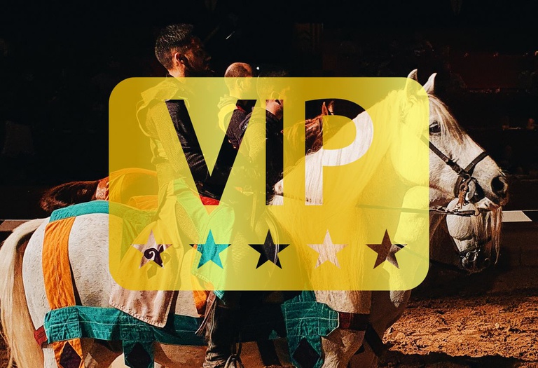 Dinner-show 'medieval challenge' (vip pass) Medieval Challenge Dinner-Show Alfaz del Pi Dinner-show 'medieval challenge' (vip pass) Medieval Challenge Dinner-Show Alfaz del Pi